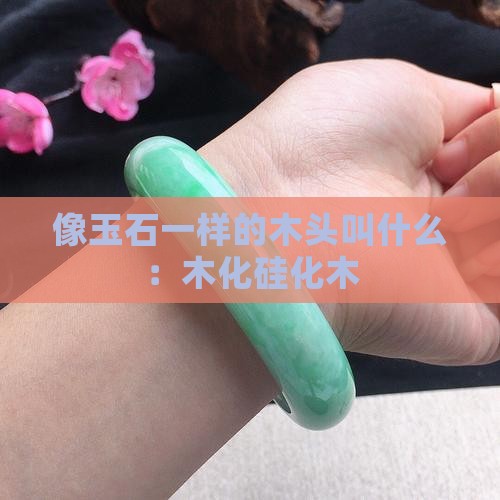 像玉石一样的木头叫什么 像玉石一样的木头叫什么