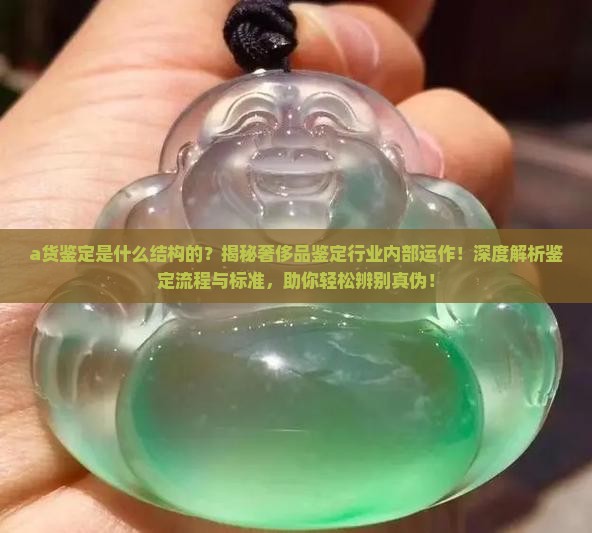 a货鉴定是什么结构的