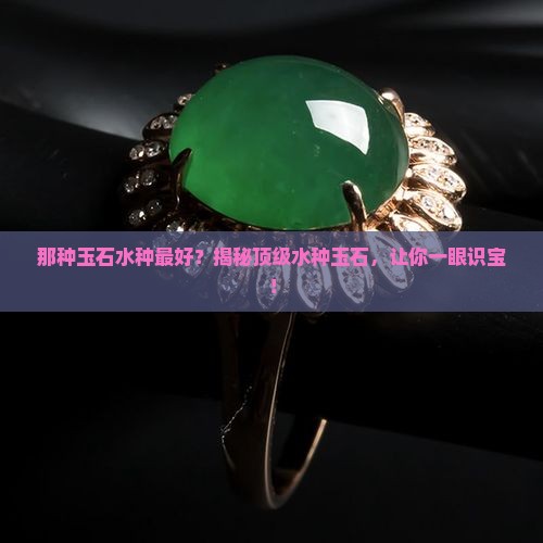那种玉石水种最好