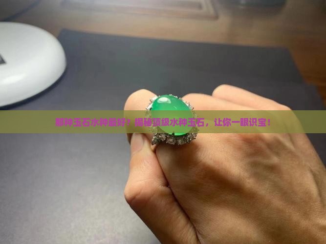那种玉石水种最好