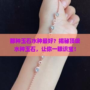 那种玉石水种最好