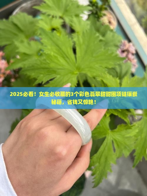 彩色翡翠甜甜圈项链镶嵌