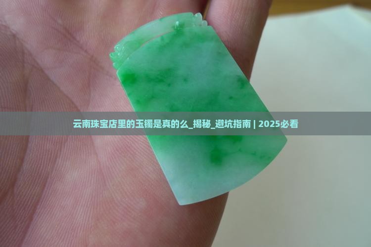 云南珠宝店里的玉镯是真的么