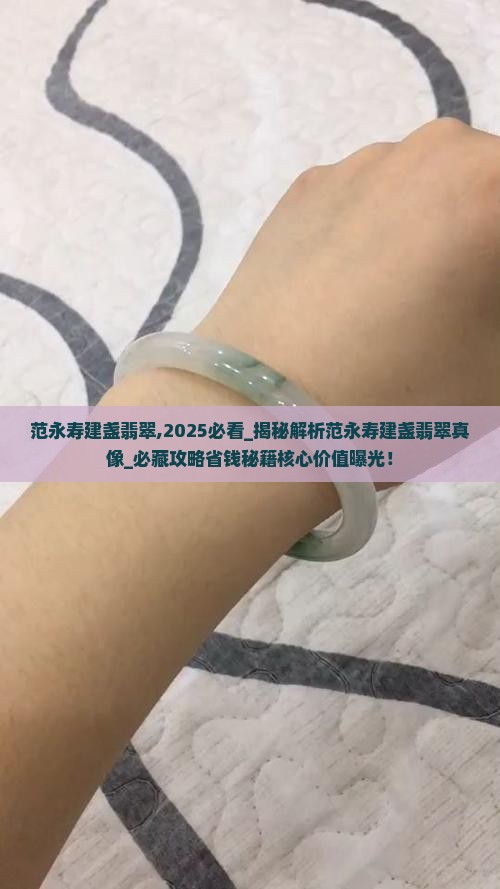 范永寿建盏翡翠