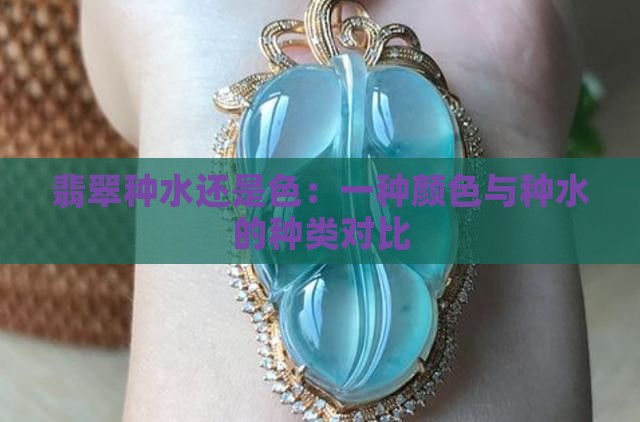翡翠种水还是色