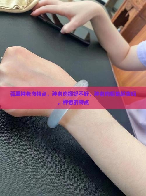 翡翠种老肉特点