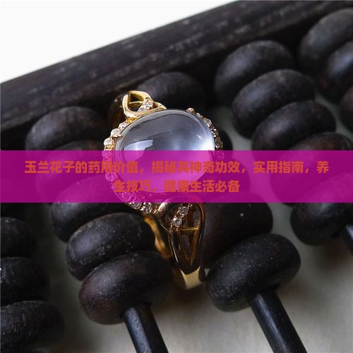 玉兰花子的药用价值