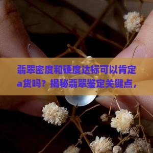 翡翠密度和硬度达标可以肯定a货吗