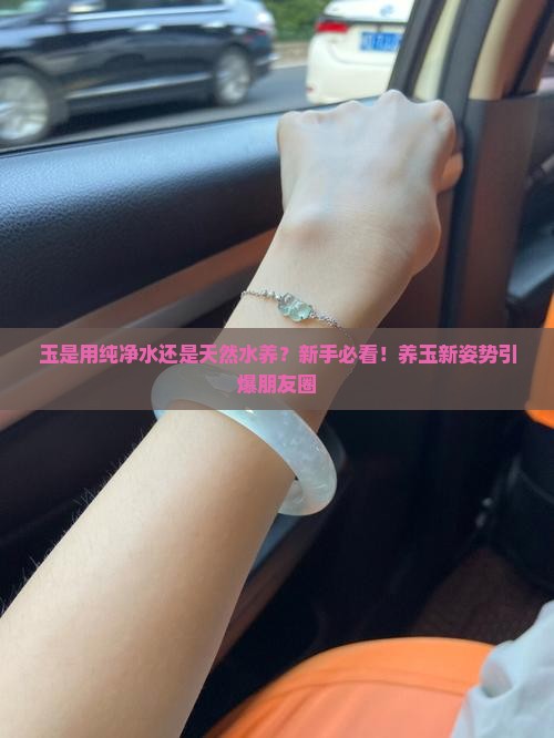 玉是用纯净水还是天然水养