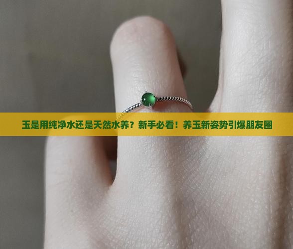 玉是用纯净水还是天然水养