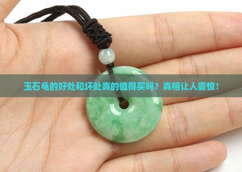 玉石龟的好处和坏处