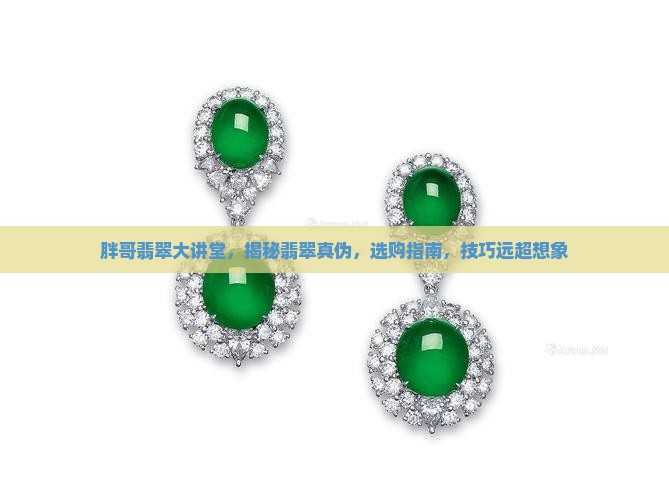 胖哥翡翠大讲堂
