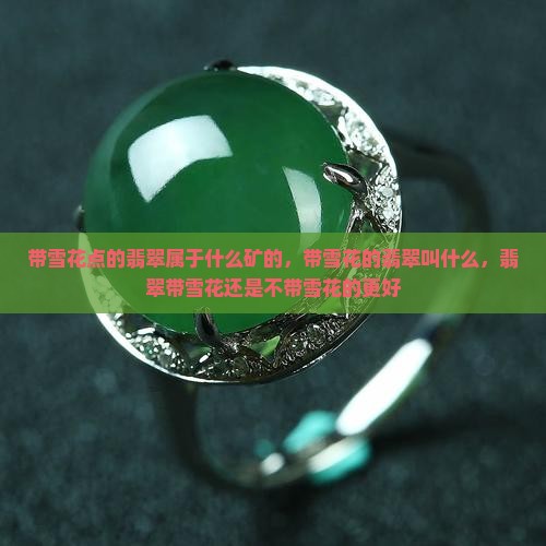 带雪花点的翡翠属于什么矿的