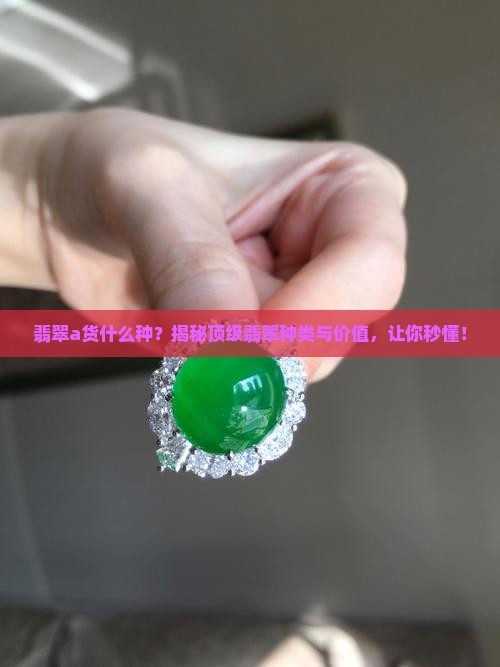 翡翠a货什么种