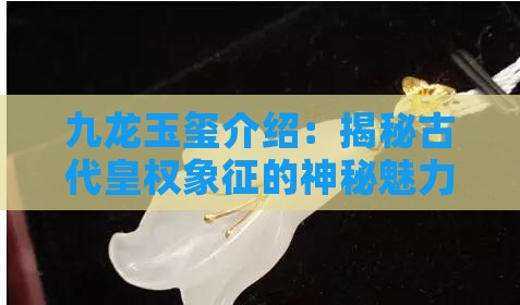 九龙玉玺介绍