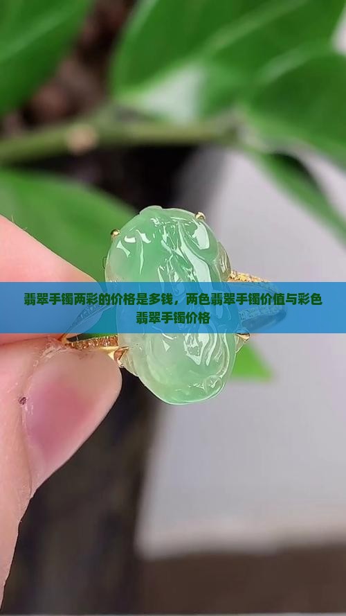 翡翠手镯两彩的价格是多钱