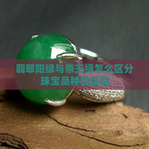 翡翠阳绿帝王绿怎么区分品种