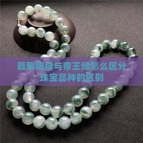 翡翠阳绿帝王绿怎么区分品种
