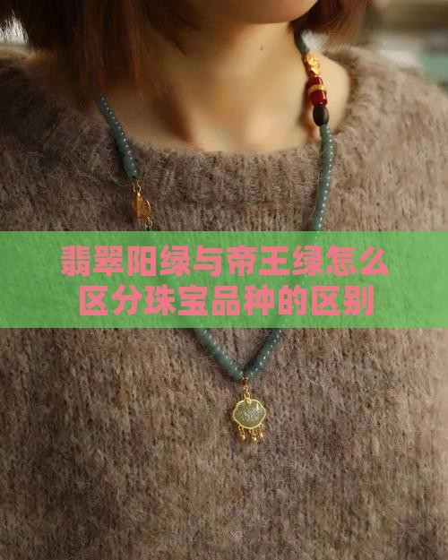翡翠阳绿帝王绿怎么区分品种