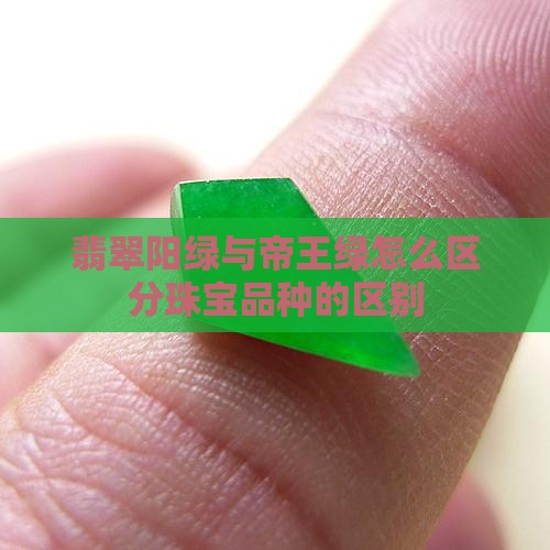 翡翠阳绿帝王绿怎么区分品种