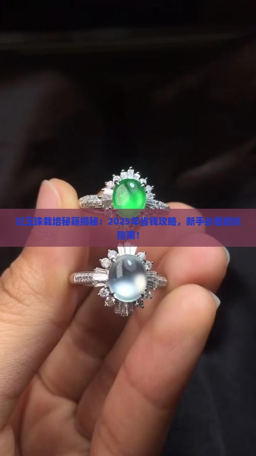 红玉珠的栽培技术