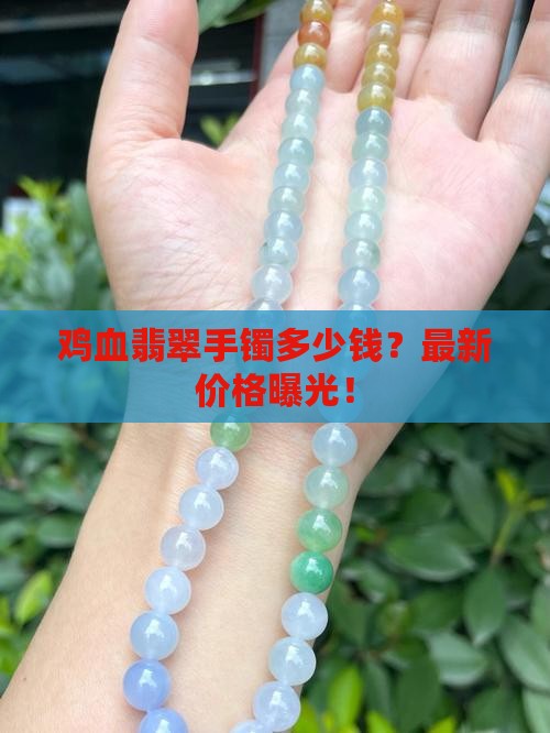 鸡血翡翠手镯多少钱