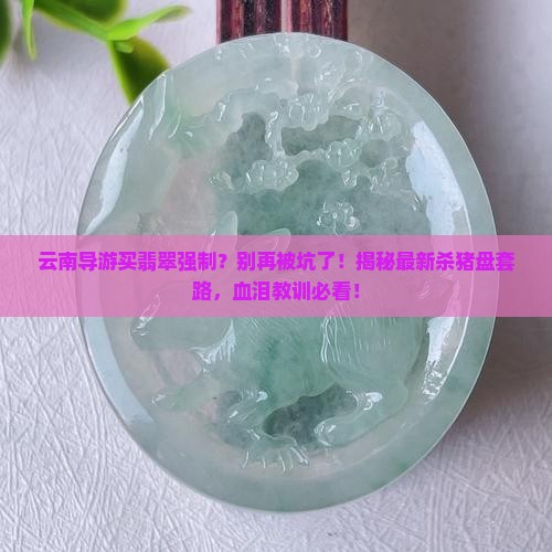 云南导游买翡翠强制