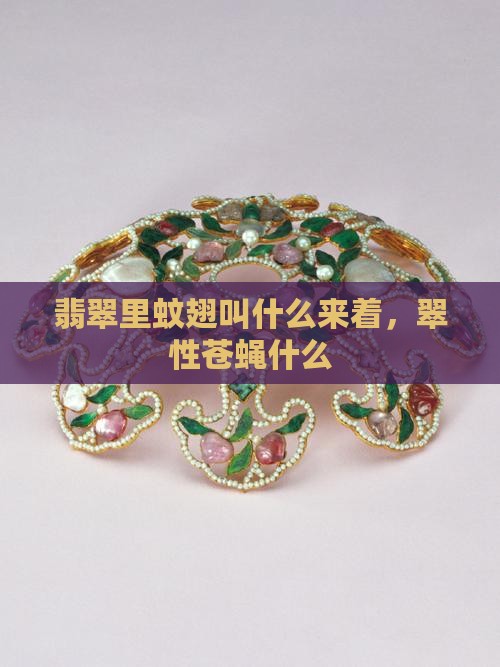 翡翠里蚊翅叫什么来着
