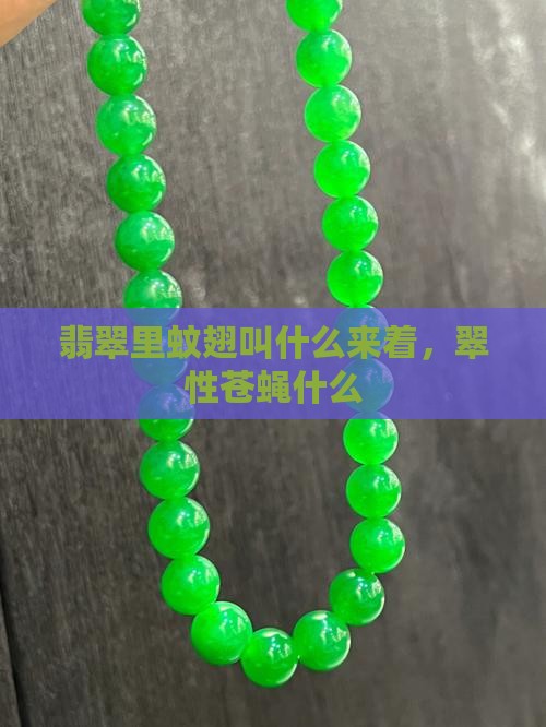 翡翠里蚊翅叫什么来着