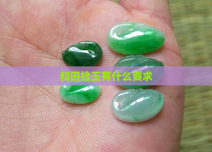 捡玉有什么要求
