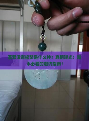 翡翠没有棉絮是什么种