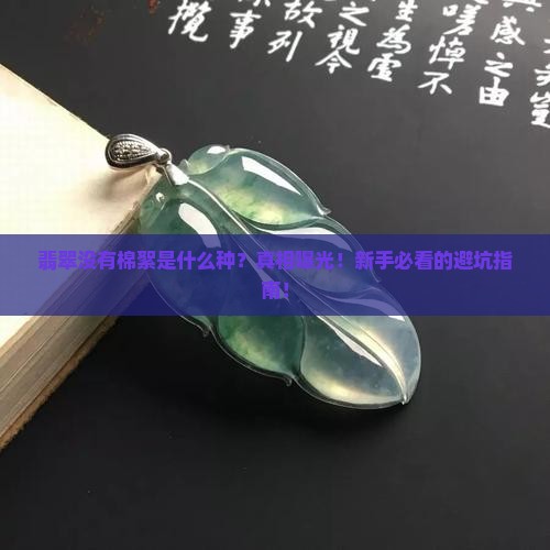 翡翠没有棉絮是什么种