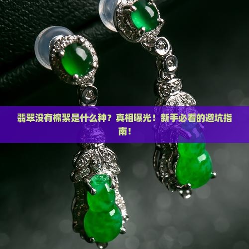 翡翠没有棉絮是什么种