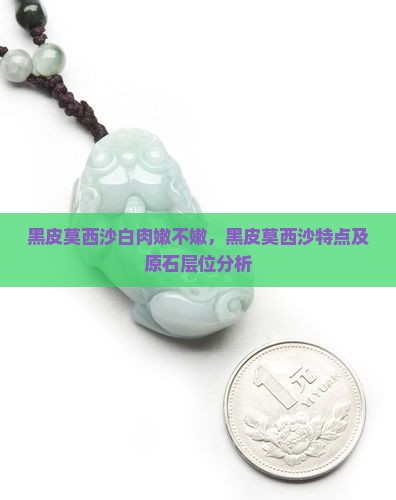 黑皮莫西沙白肉嫩不嫩，黑皮莫西沙特点及原石层位分析
