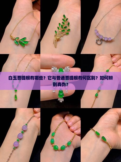 白玉菩提根有哪些？它与普通菩提根有何区别？如何辨别真伪？
