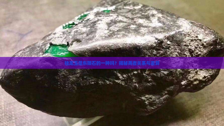 独龙玉是东陵石的一种吗？揭秘两者关系与差异