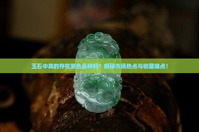玉石中真的存在紫色品种吗？揭秘市场热点与收藏痛点！