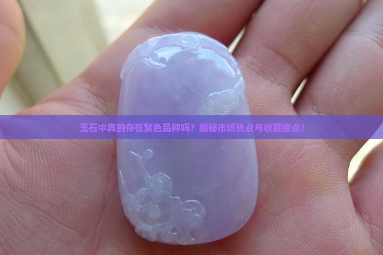 玉石中真的存在紫色品种吗？揭秘市场热点与收藏痛点！