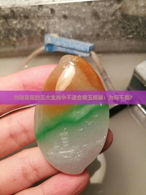 为啥属鼠的五大生肖中不适合戴玉揭秘：为何不能？
