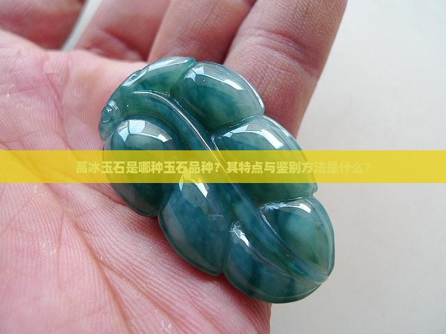 高冰玉石是哪种玉石品种？其特点与鉴别方法是什么？