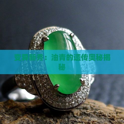 变异新秀：油青的遗传奥秘揭秘