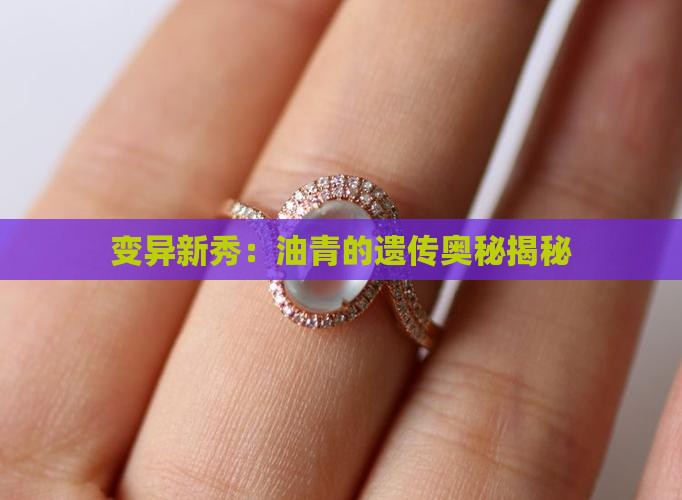 变异新秀：油青的遗传奥秘揭秘
