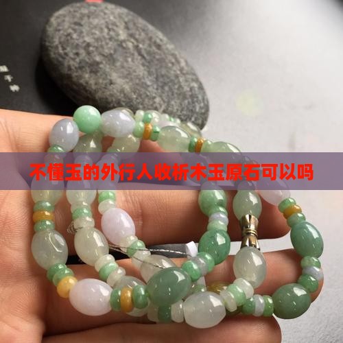 不懂玉的外行人收析木玉原石可以吗