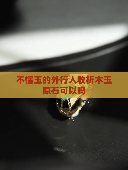 不懂玉的外行人收析木玉原石可以吗
