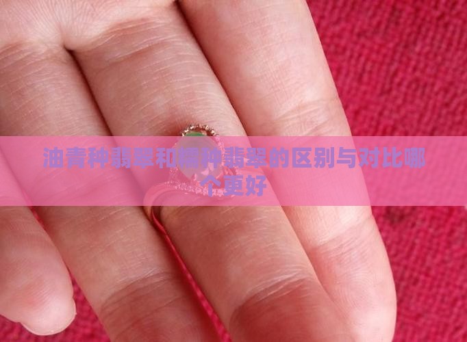 油青种翡翠和糯种翡翠的区别与对比哪个更好