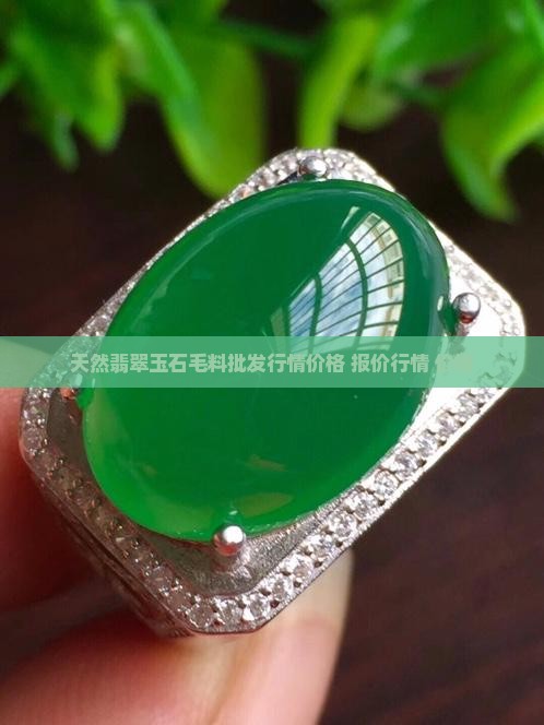 天然翡翠原石玉石毛料行情价格