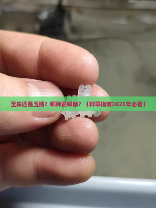 玉珠和玉镯哪个好看