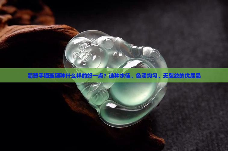 翡翠手镯玻璃种什么样的好一点