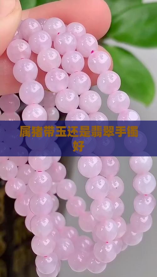 属猪带玉还是翡翠手镯好