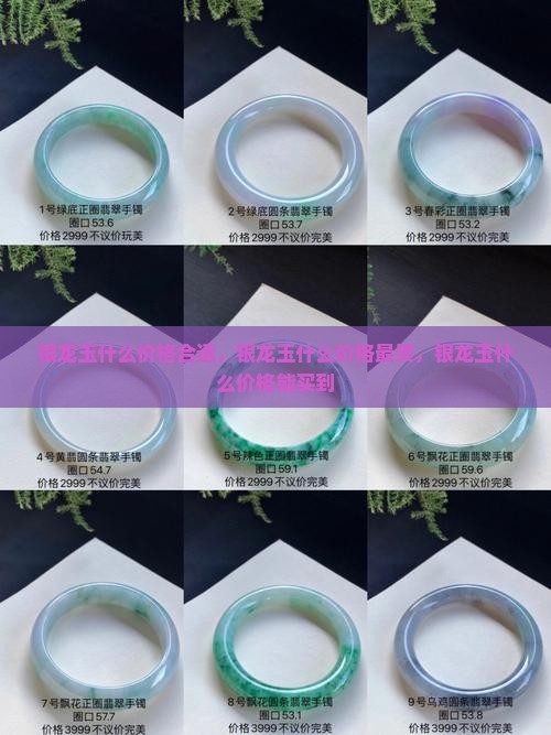 银龙玉什么价格